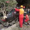برخورد زانتیا با درخت | عکس از : حمید چنارانی