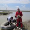 نجات 6 قلاده توله سگ از داخل سیل بند