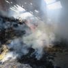 آتش سوزی در انبار علوفه در یک دامداری | عکس از : محمد مهدی سلیمان