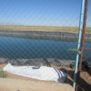آتش نشانی نیشابور - شنا در آبگیرهای کشاورزی باز هم قربانی گرفت