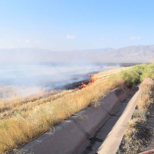 آتش نشانی نیشابور - آتش سوزی گسترده در زمین های کشاورزی بلوار پژوهش توسط آتش نشانان مهار شد