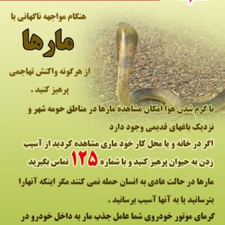 آتش نشانی نیشابور - نکات ایمنی در هنگام مواجه شدن با مارها