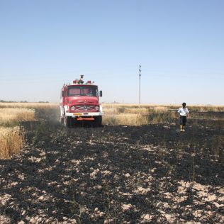 آتش نشانی نیشابور - آتش بازی کودکان ، مزرعه را به آتش کشید