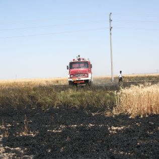 آتش نشانی نیشابور - دو هزار متر مزرعه گندم در آتش سوخت