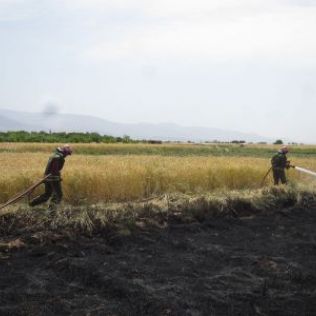 آتش نشانی نیشابور - سرعت عمل آتش نشانان مانع سوختن یکسال دست رنج کشاورز شد.