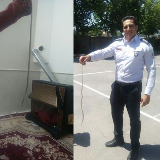 آتش نشانی نیشابور - گرم شدن هوا و پیدا شدن مارها